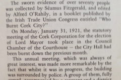 Charles Coughlan Arrest in Cork Chpt 5 pg 45